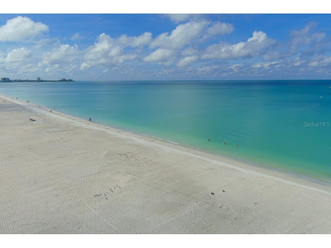 1300 Benjamin Franklin Drive #305 Sarasota FL 34236 A4594066 image39