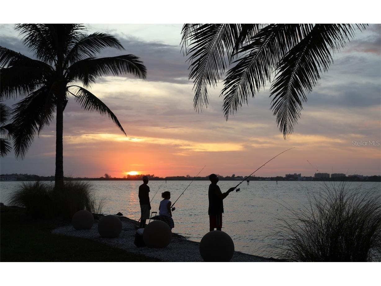 1300 Benjamin Franklin Drive #709 Sarasota FL 34236 - GULF OF AMERICA A4665895 image60