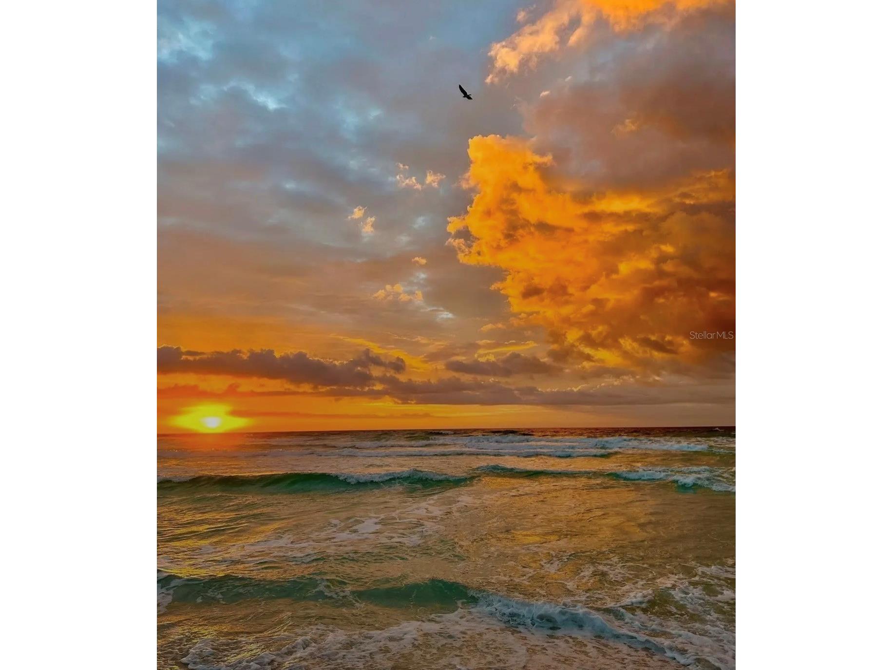 1300 Benjamin Franklin Drive #809 Sarasota FL 34236 - GULF OF MEXICO SARASOTA BAY A4679860 image76