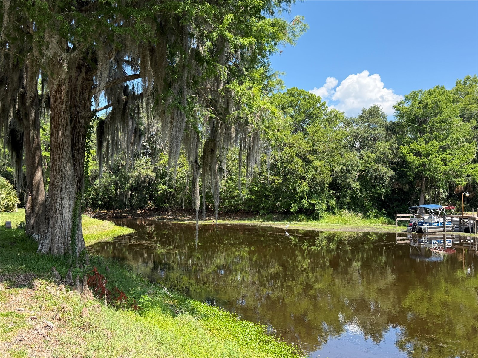 1300 Cypress Cove Court Inverness FL 34450 TB8514494 image1