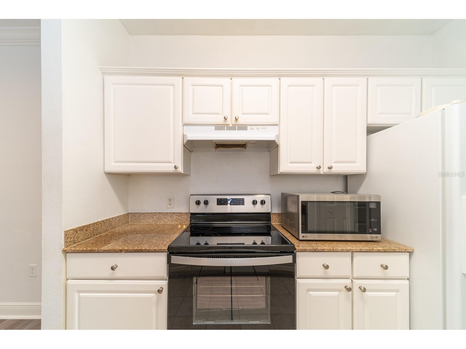 1300 Eastern Pecan Place #208 Winter Garden FL 34787 O6377670 image11