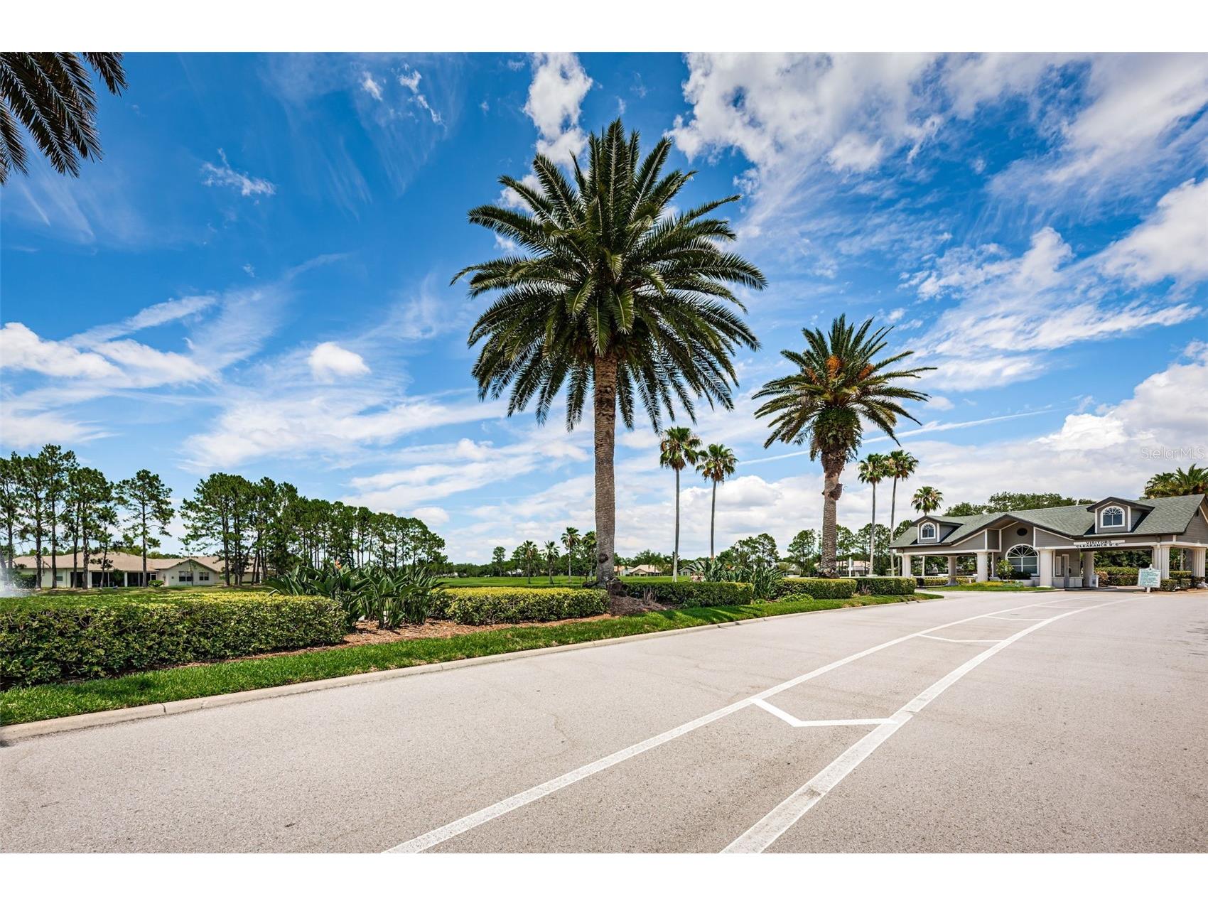1300 Fallowfield Drive Trinity FL 34655 W7885053 image33
