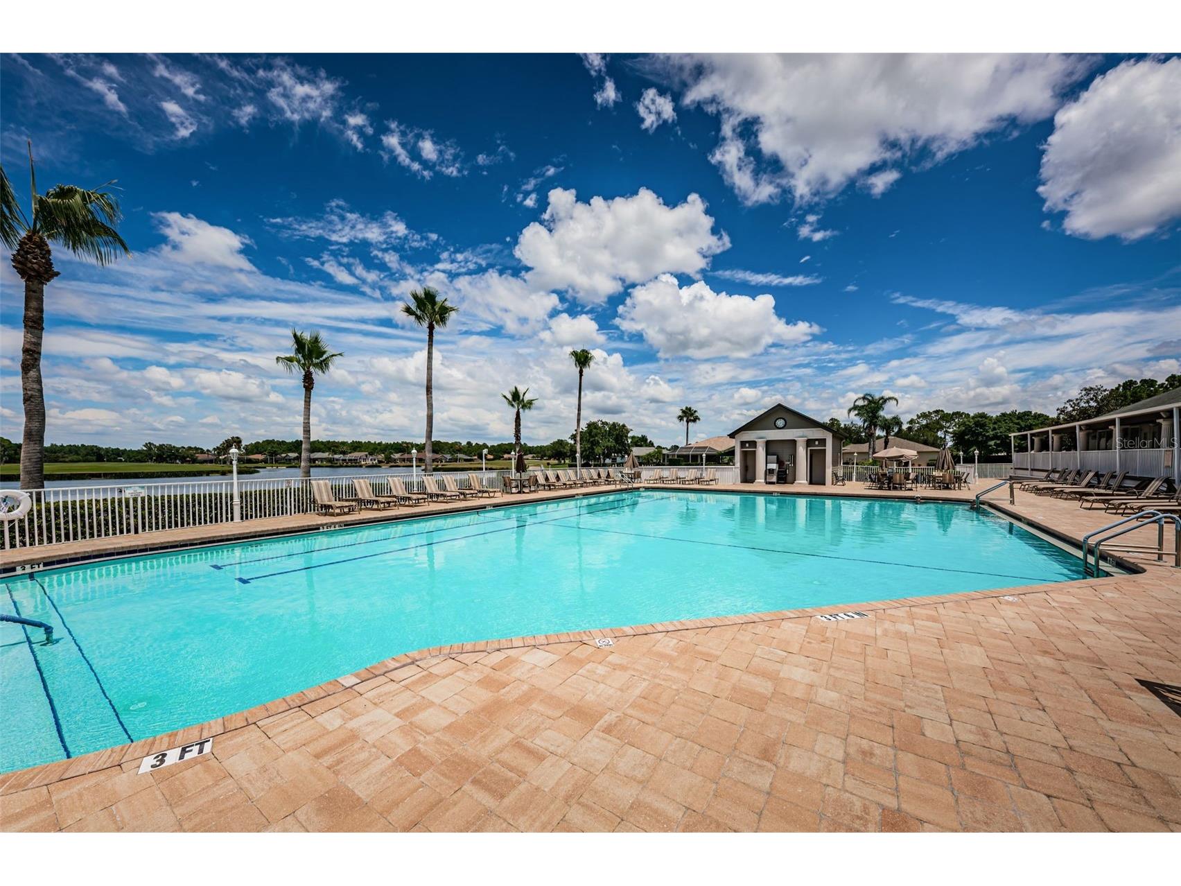 1300 Fallowfield Drive Trinity FL 34655 W7885053 image70