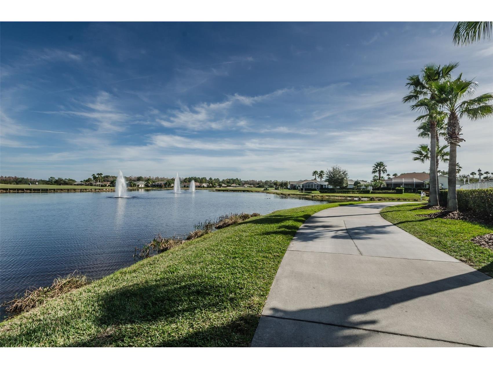 1300 Fallowfield Drive Trinity FL 34655 W7885053 image94