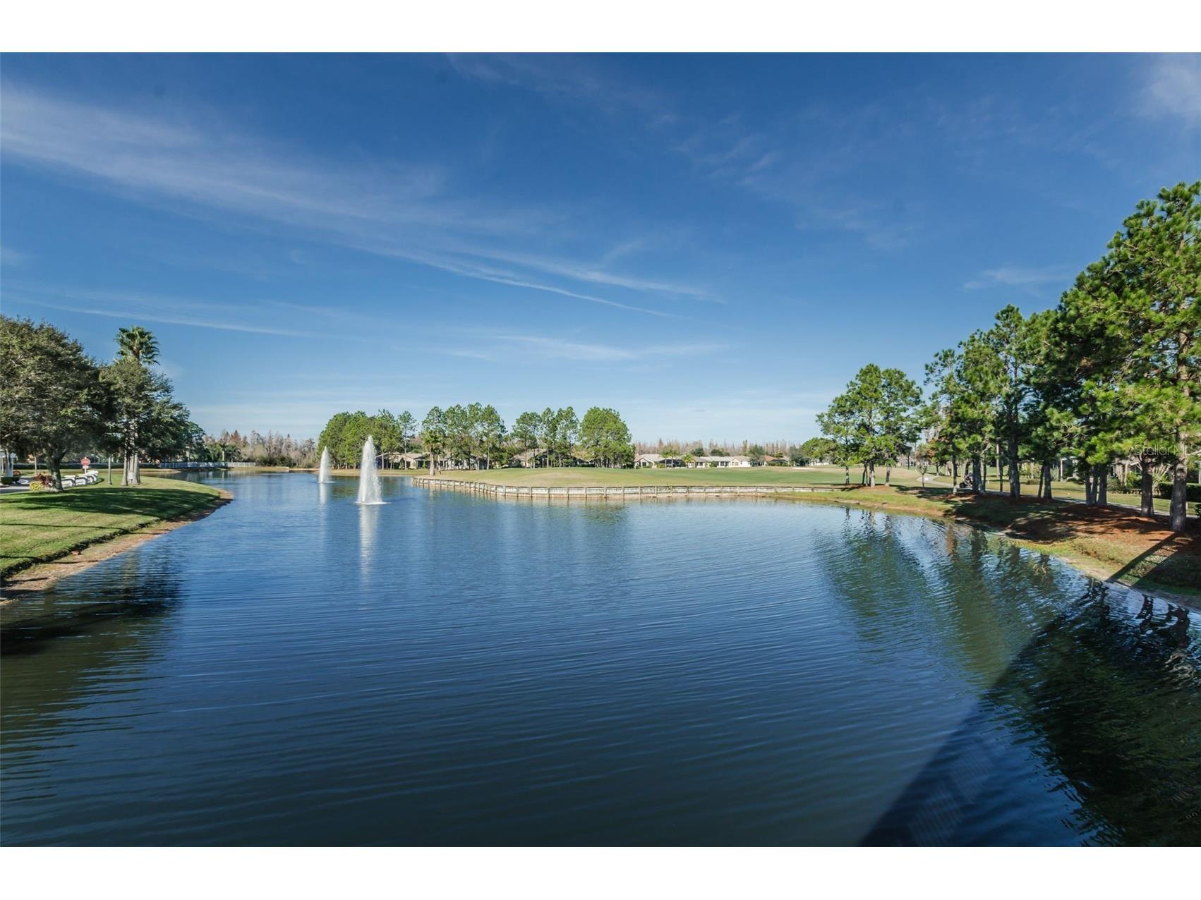 1300 Fallowfield Drive Trinity FL 34655 W7885053 image96