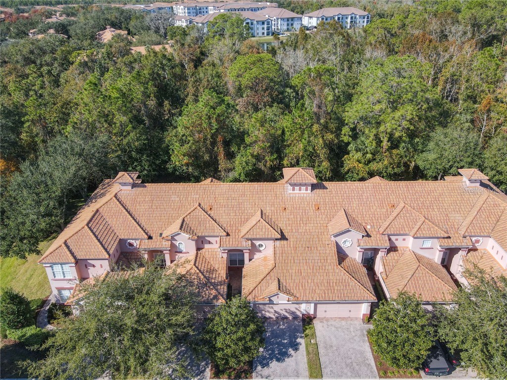 1300 Gilford Point Lane Davenport FL 33896 O6371060 image4