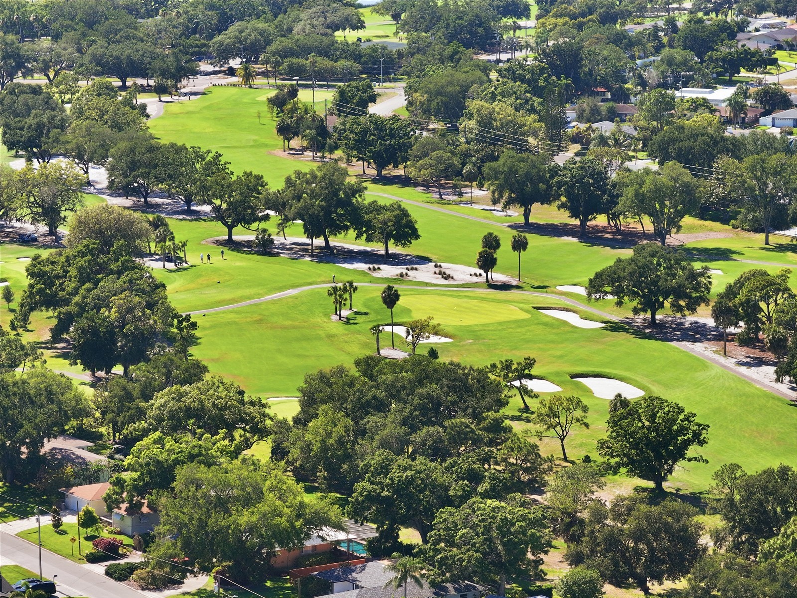1300 Michigan Boulevard Dunedin FL 34698 TB8508809 image43