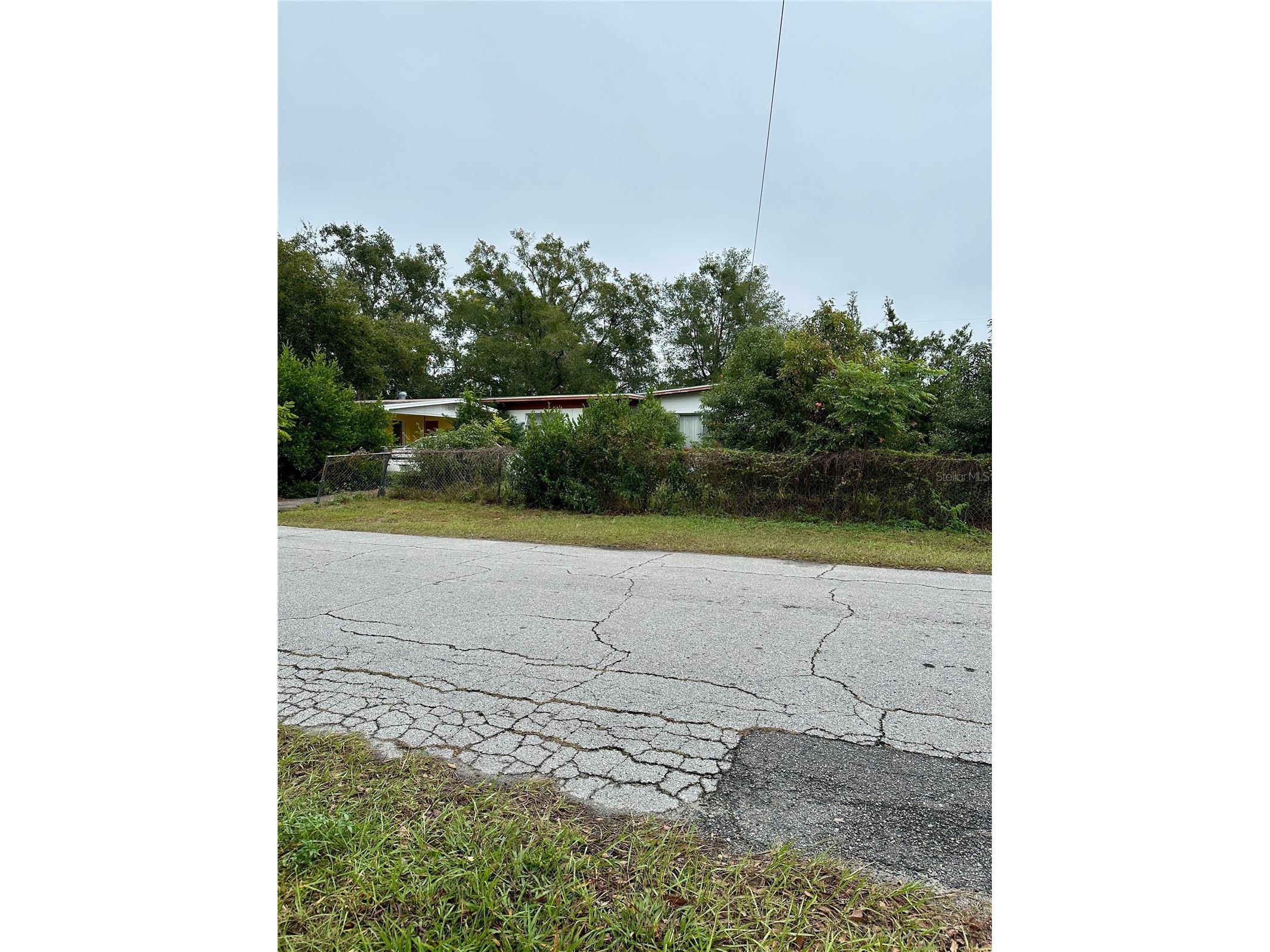 1300 Morningside Street Mount Dora FL 32757 O6369114 image1