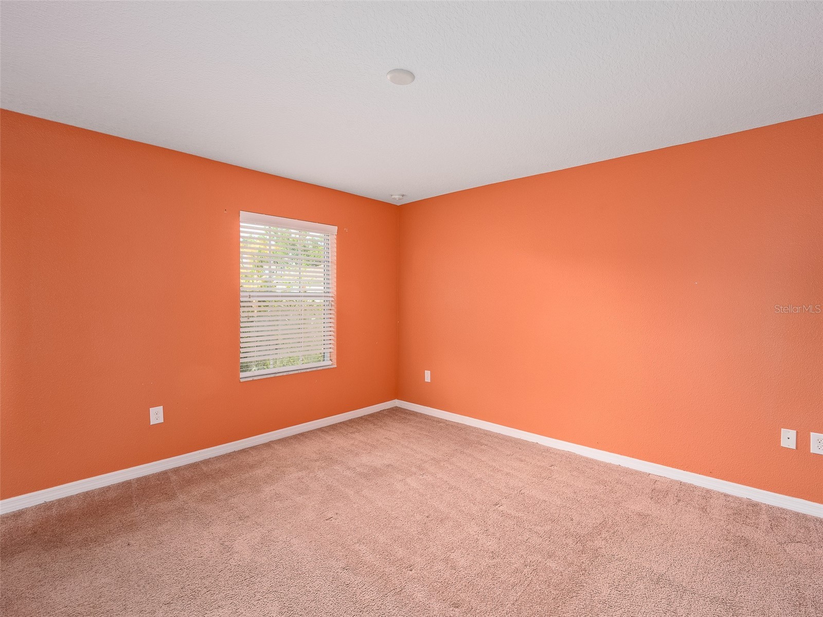 1300 Seburn Road Apopka FL 32703 O6384726 image14