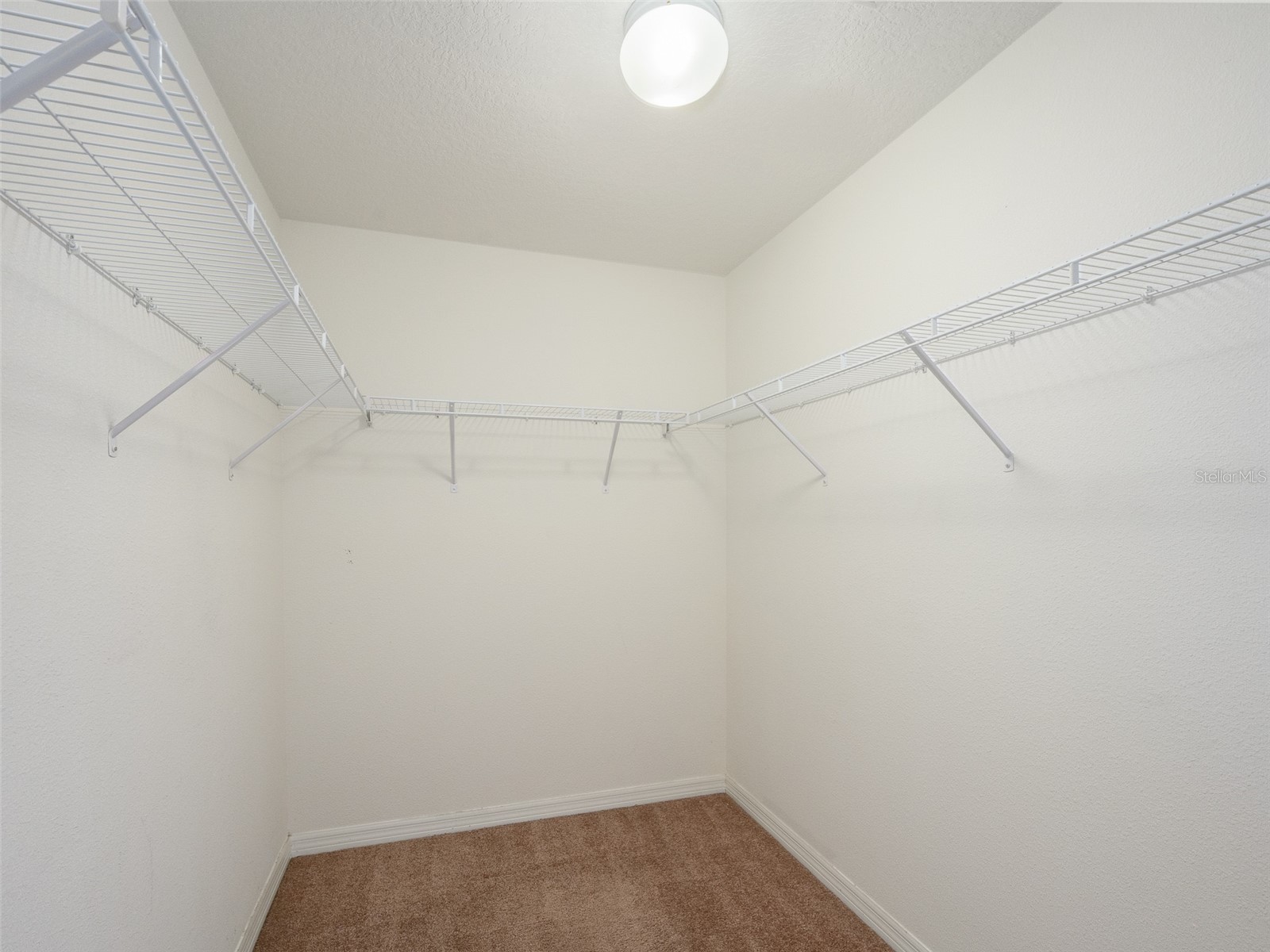 1300 Seburn Road Apopka FL 32703 O6384726 image17