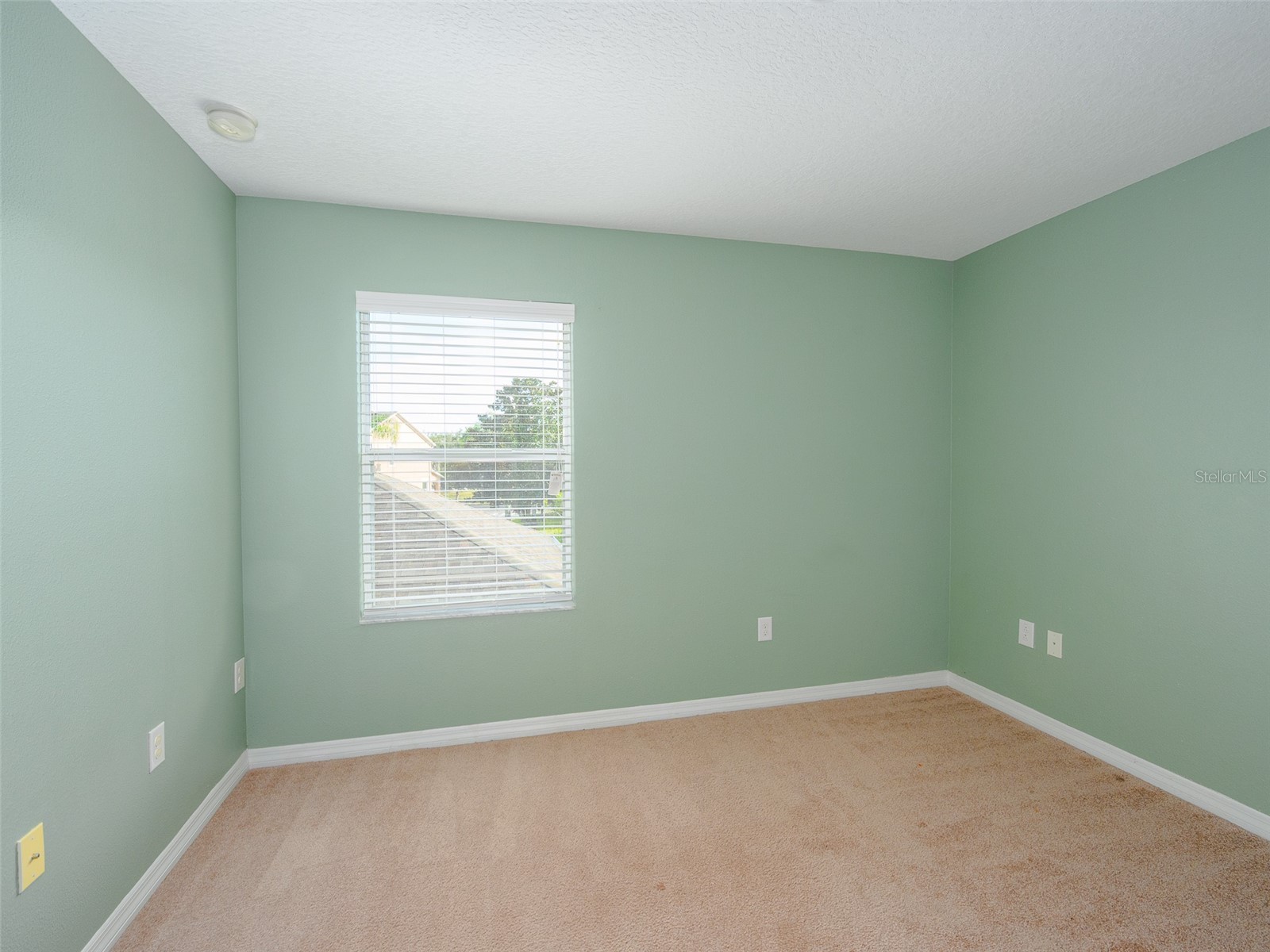 1300 Seburn Road Apopka FL 32703 O6384726 image18