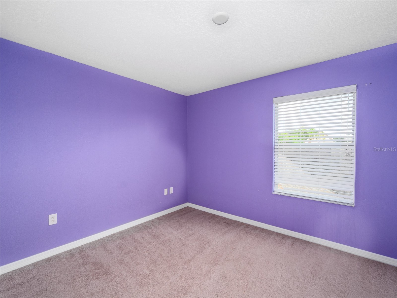 1300 Seburn Road Apopka FL 32703 O6384726 image20