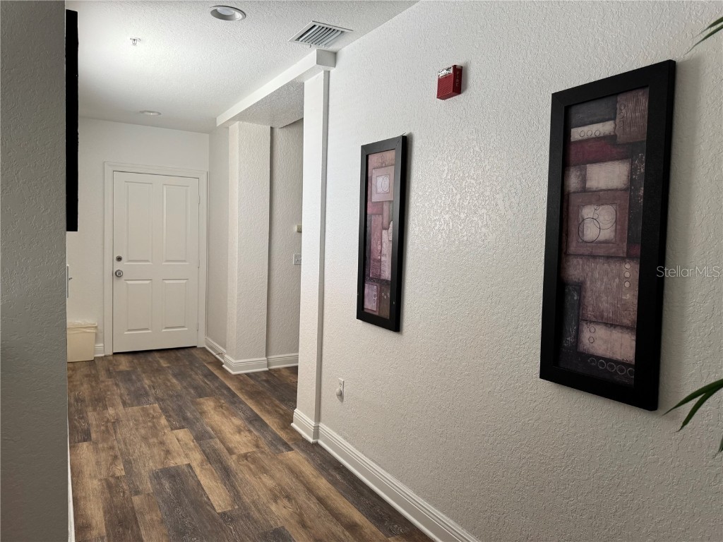 1300 Seven Eagles Court Reunion FL 34747 S5131466 image11