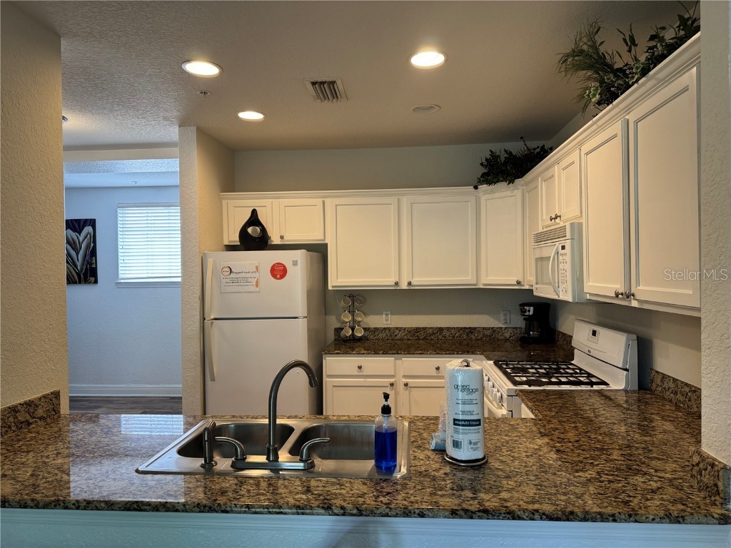 1300 Seven Eagles Court Reunion FL 34747 S5131466 image20