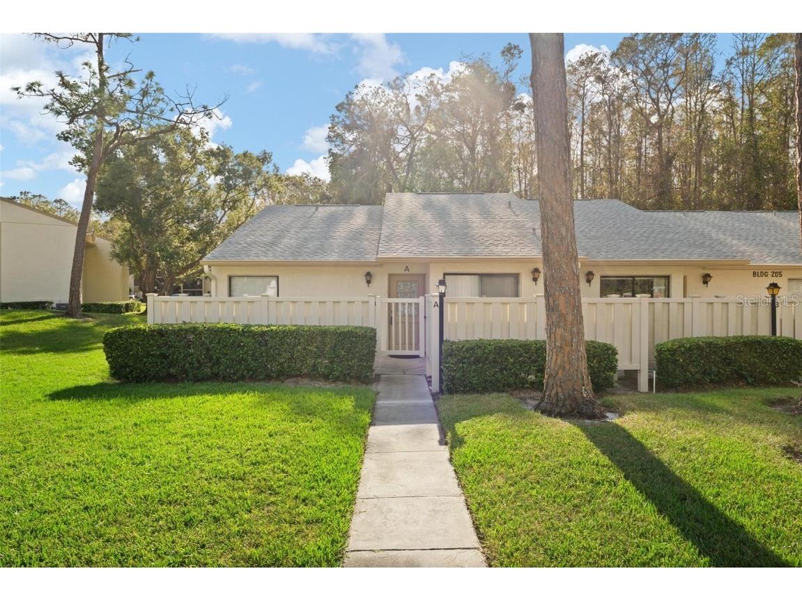 1300 Shady Pine Way #205A Tarpon Springs FL 34688 TB8319846 image1