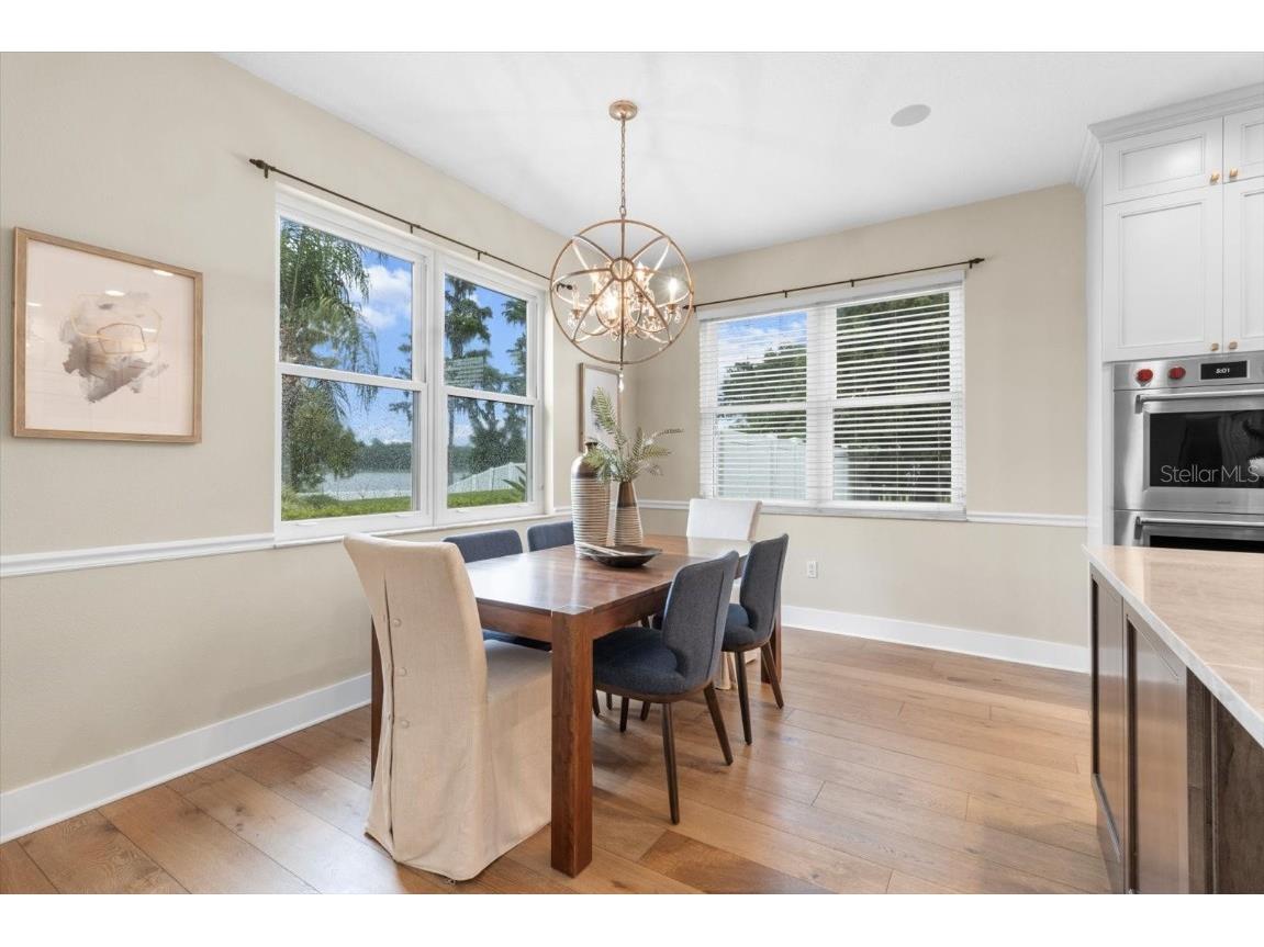 1300 Wyndham Lakes Drive Odessa FL 33556 - LAKE ANN TB8403985 image15