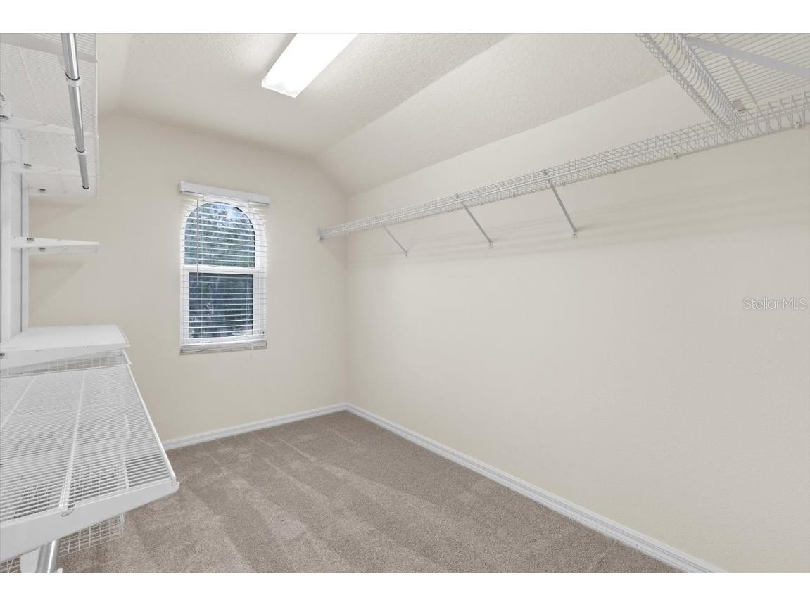 1300 Wyndham Lakes Drive Odessa FL 33556 - LAKE ANN TB8403985 image24