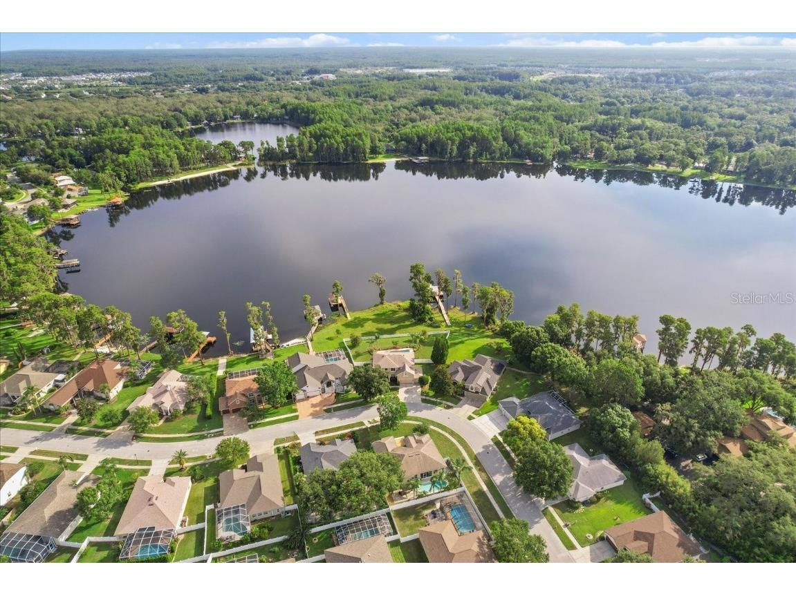 1300 Wyndham Lakes Drive Odessa FL 33556 - LAKE ANN TB8403985 image4