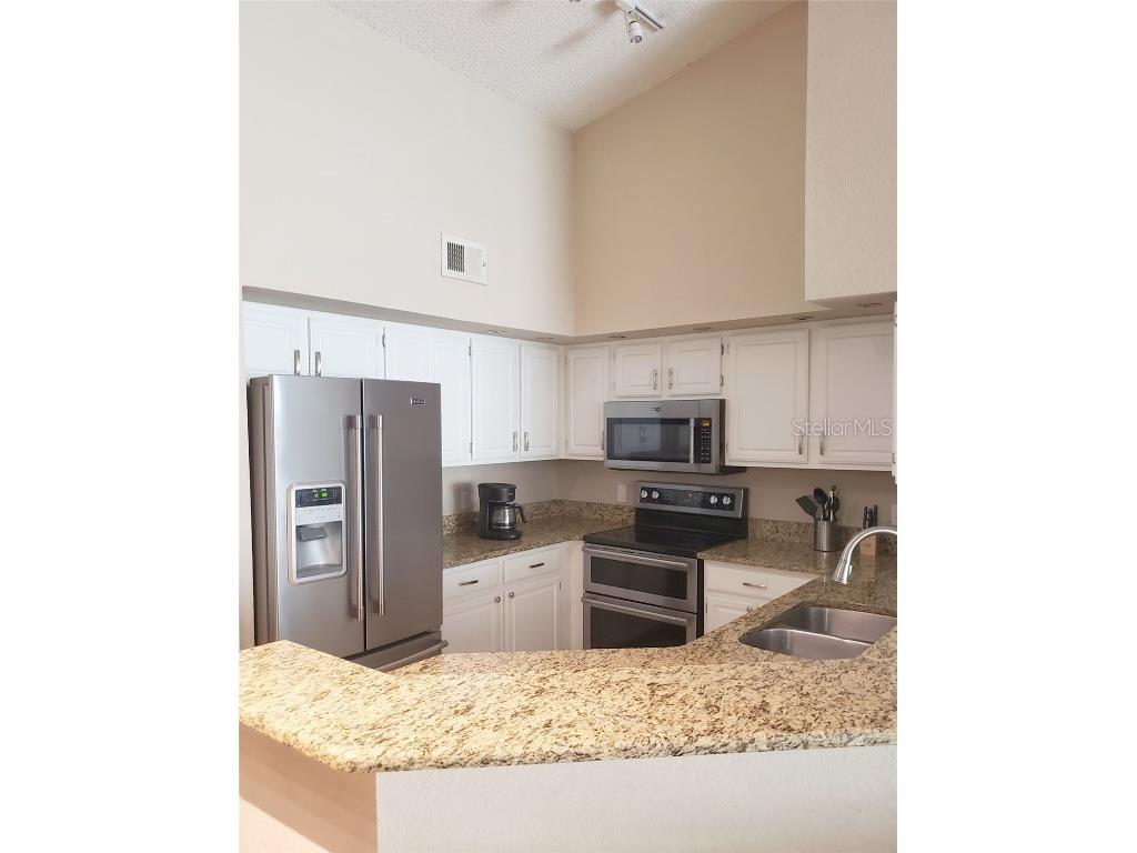 13001 Mulberry Park Drive #124 Orlando FL 32821 O6350917 image10