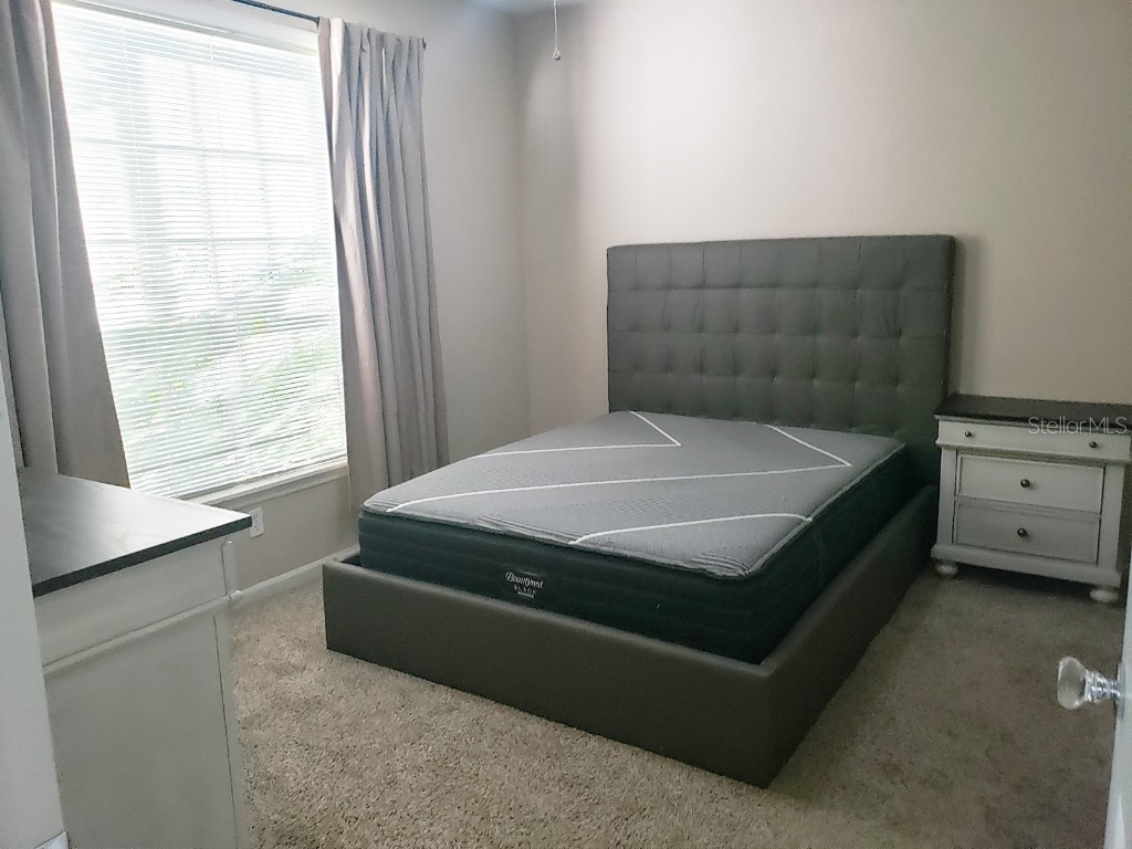 13001 Mulberry Park Drive #124 Orlando FL 32821 O6350917 image14