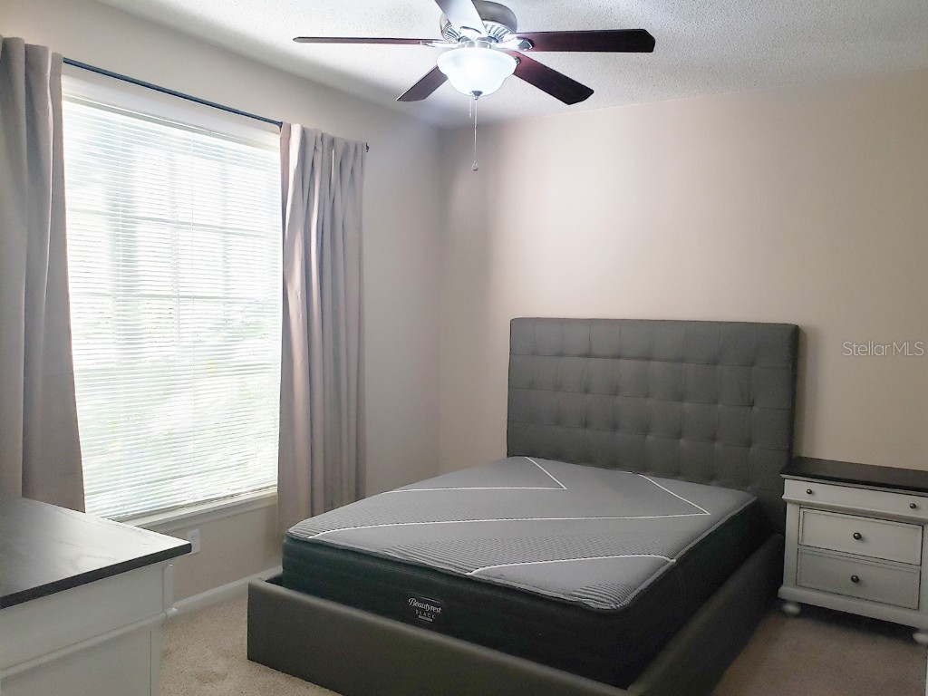 13001 Mulberry Park Drive #124 Orlando FL 32821 O6350917 image15