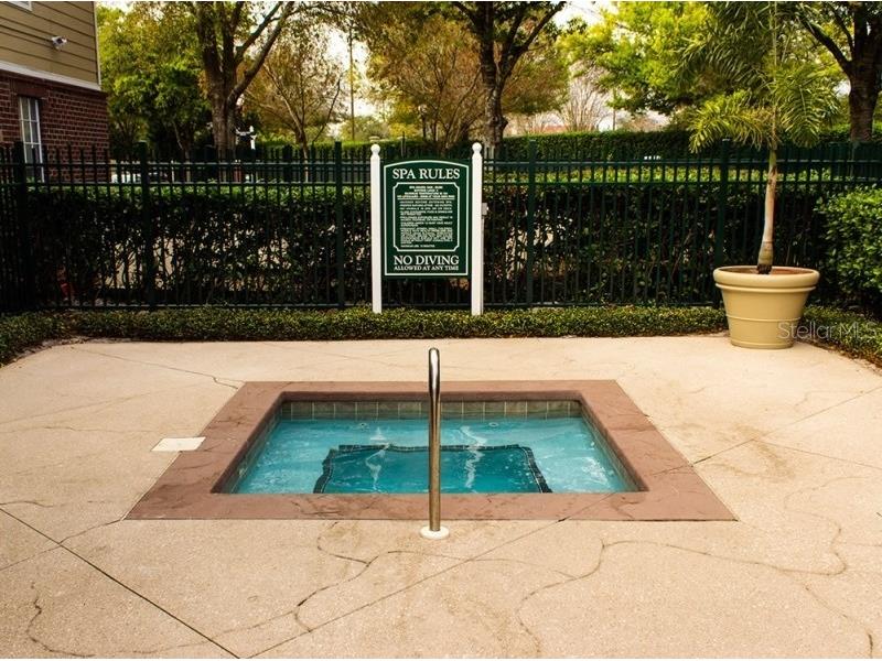 13001 Mulberry Park Drive #124 Orlando FL 32821 O6350917 image24