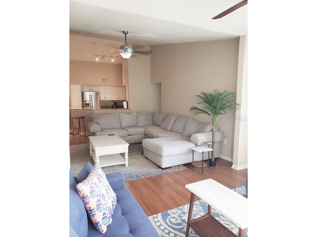 13001 Mulberry Park Drive #124 Orlando FL 32821 O6350917 image6