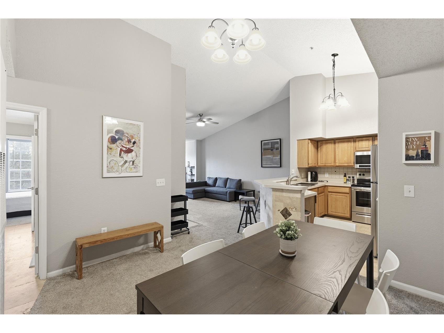 13001 Mulberry Park Drive #132 Orlando FL 32821 O6401861 image14