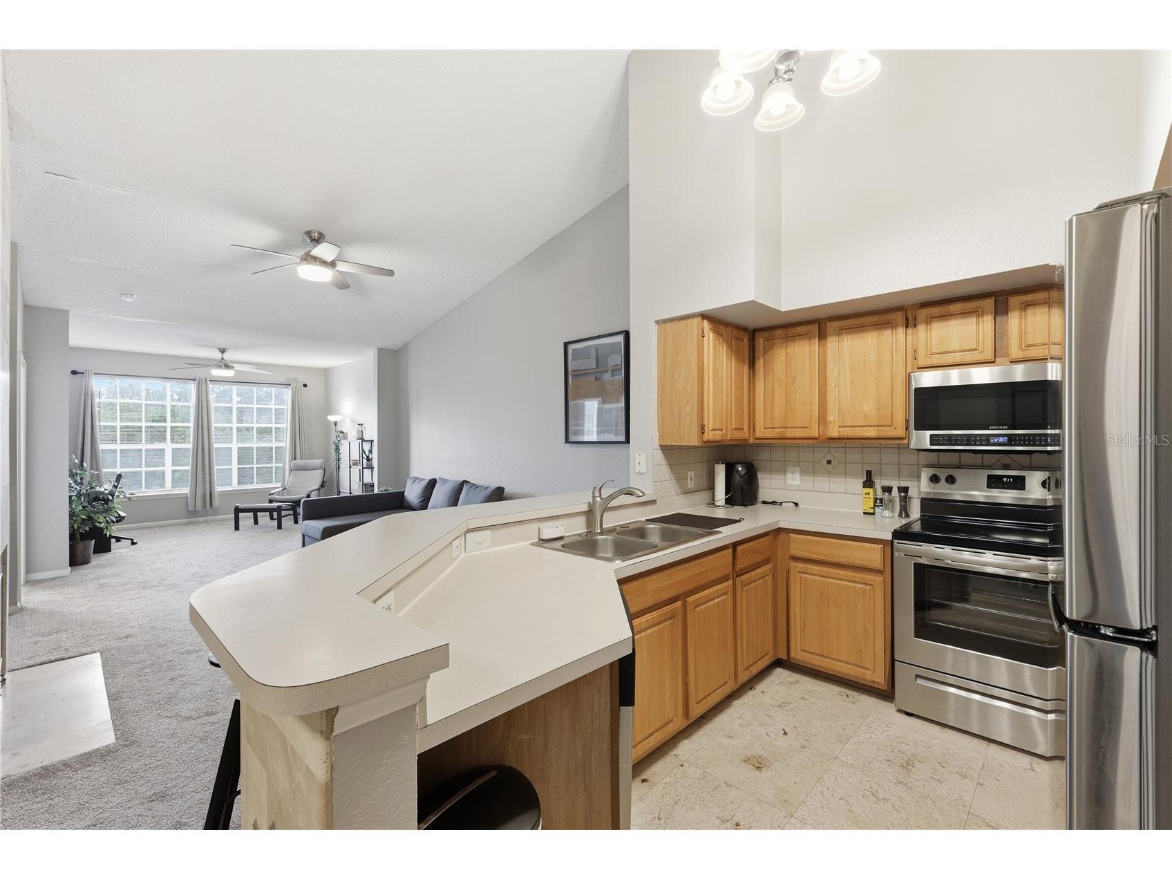 13001 Mulberry Park Drive #132 Orlando FL 32821 O6401861 image17