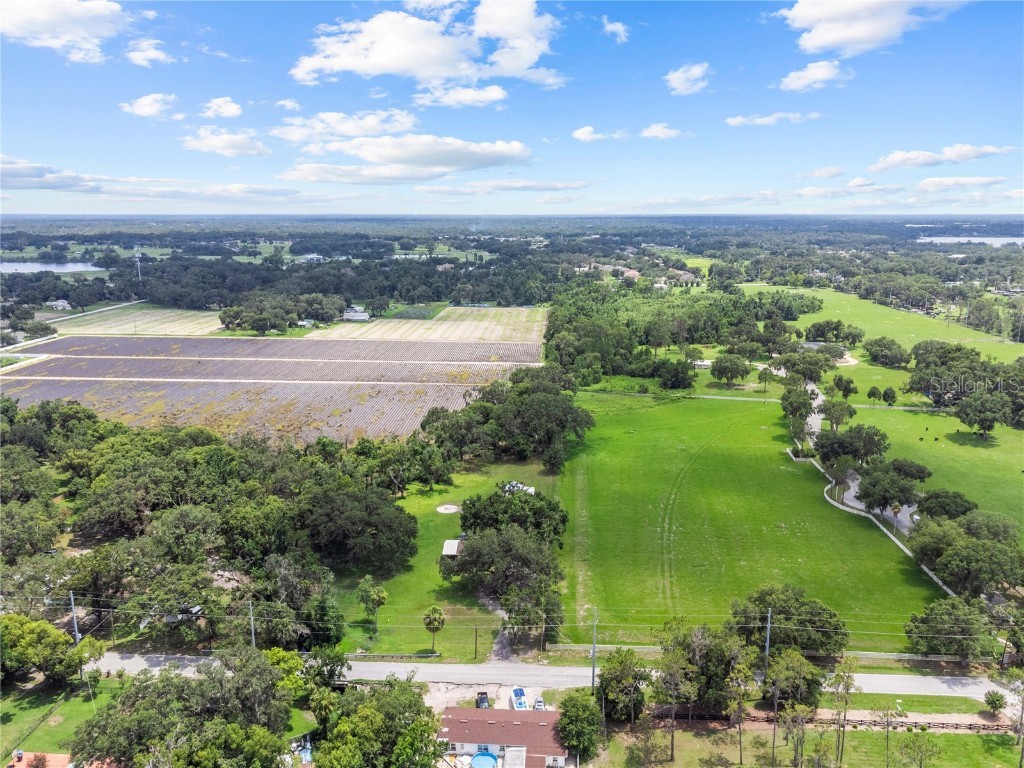 13002 E Wheeler Road Dover FL 33527 TB8405387 image18