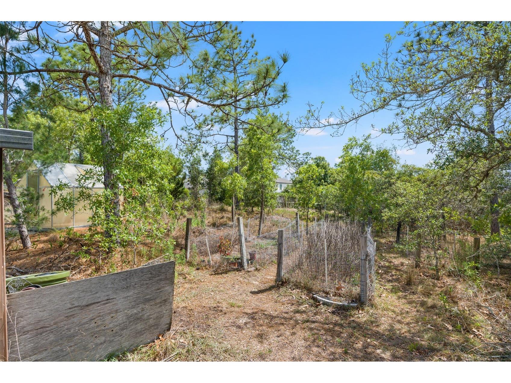 13002 Oneida Street Spring Hill FL 34609 TB8506138 image28