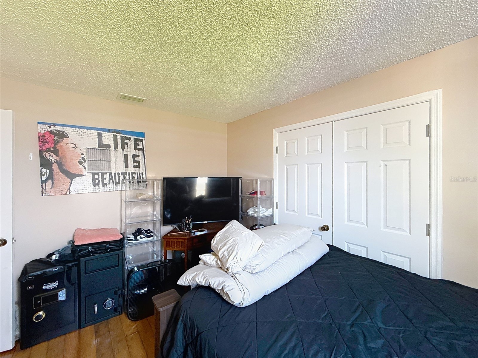13002 Saint Filagree Drive Riverview FL 33579 W7884939 image39
