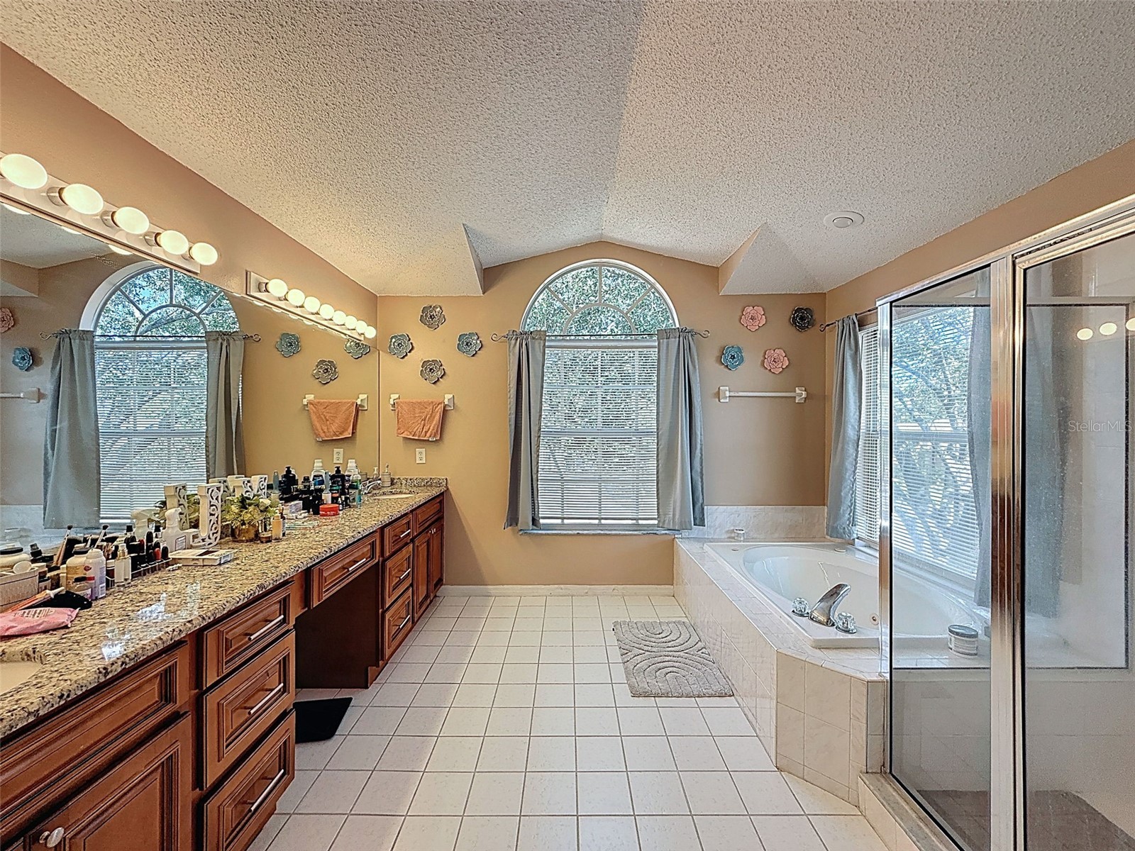 13002 Saint Filagree Drive Riverview FL 33579 W7884939 image54