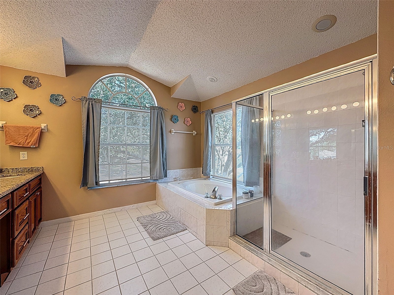 13002 Saint Filagree Drive Riverview FL 33579 W7884939 image55