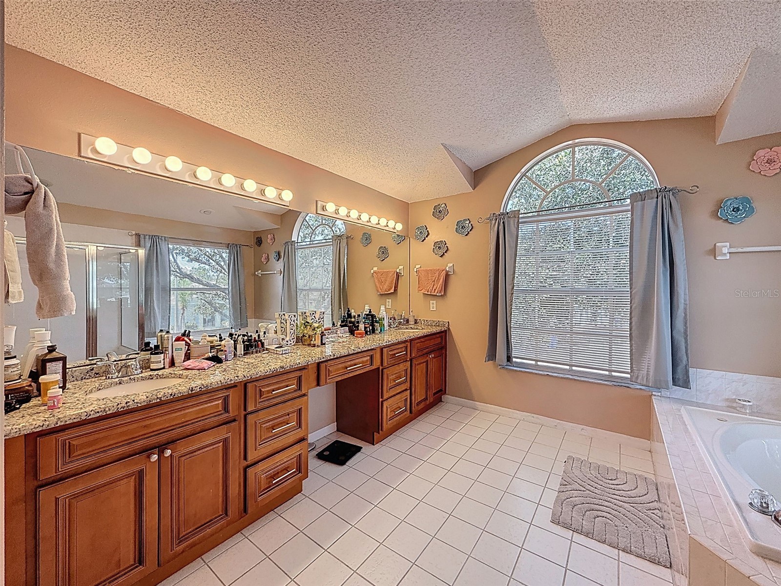 13002 Saint Filagree Drive Riverview FL 33579 W7884939 image56
