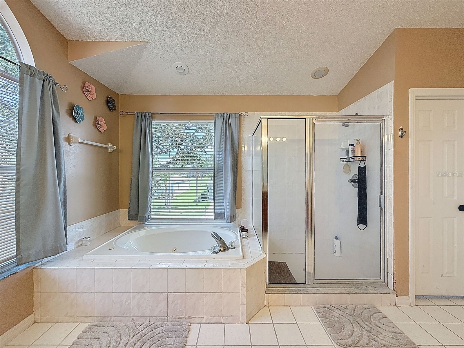 13002 Saint Filagree Drive Riverview FL 33579 W7884939 image57