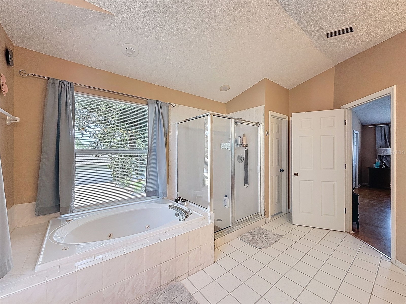13002 Saint Filagree Drive Riverview FL 33579 W7884939 image58