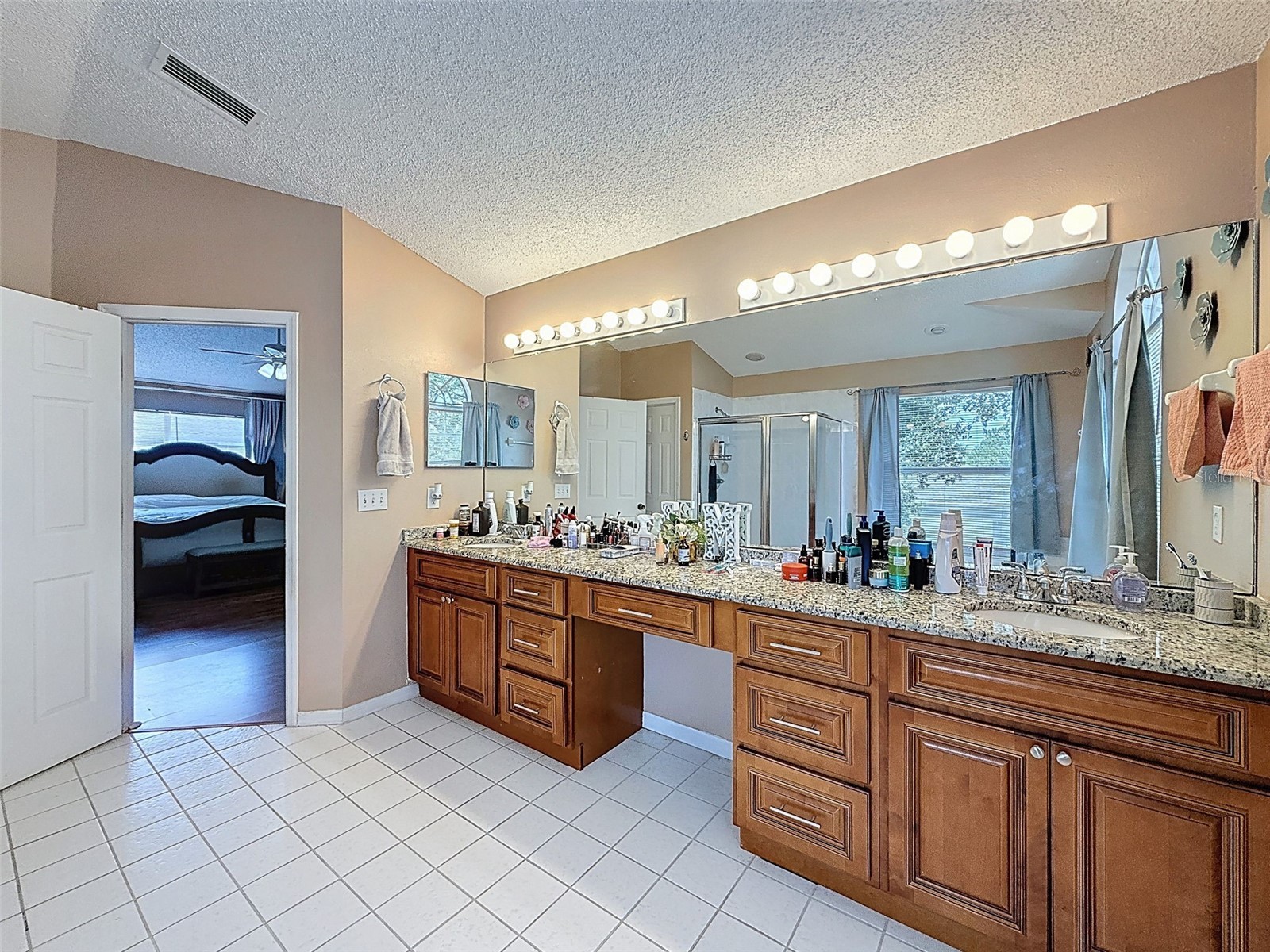 13002 Saint Filagree Drive Riverview FL 33579 W7884939 image59