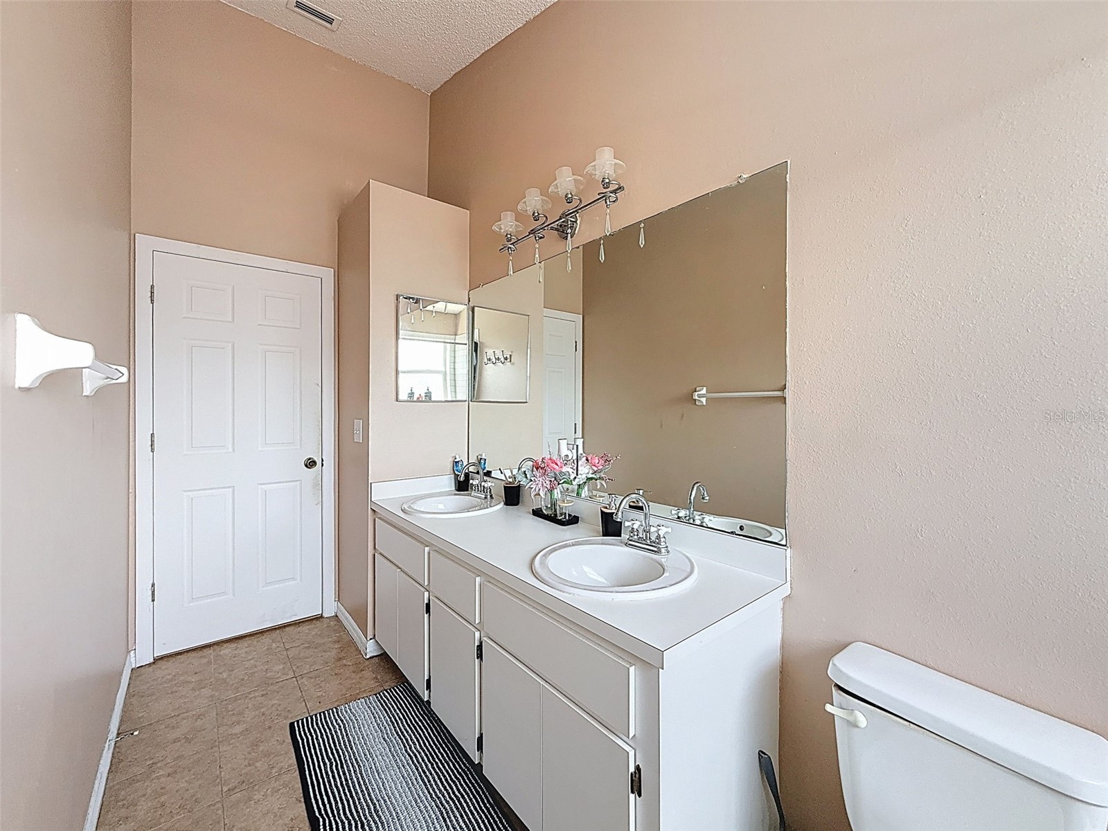 13002 Saint Filagree Drive Riverview FL 33579 W7884939 image67
