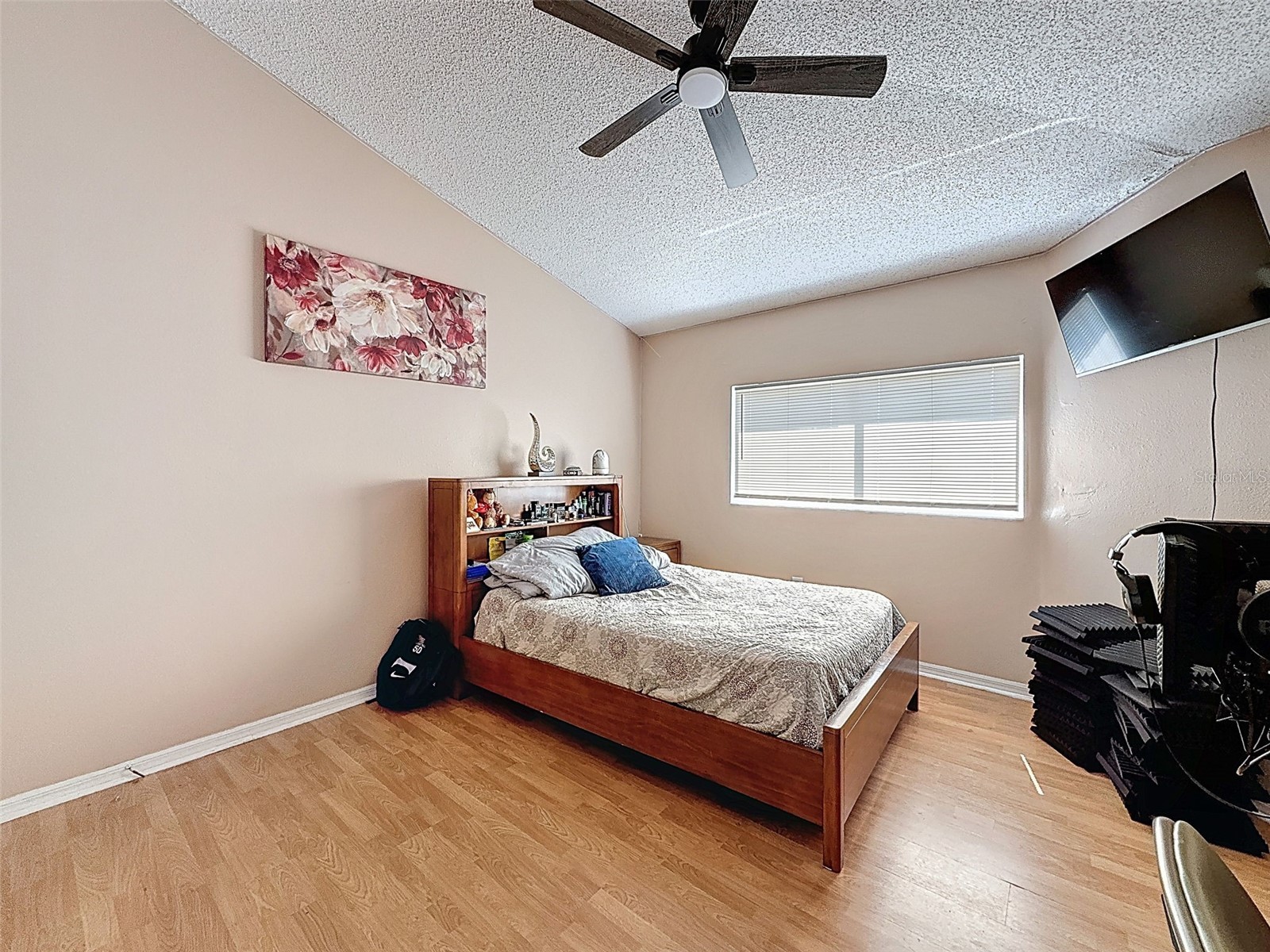 13002 Saint Filagree Drive Riverview FL 33579 W7884939 image69