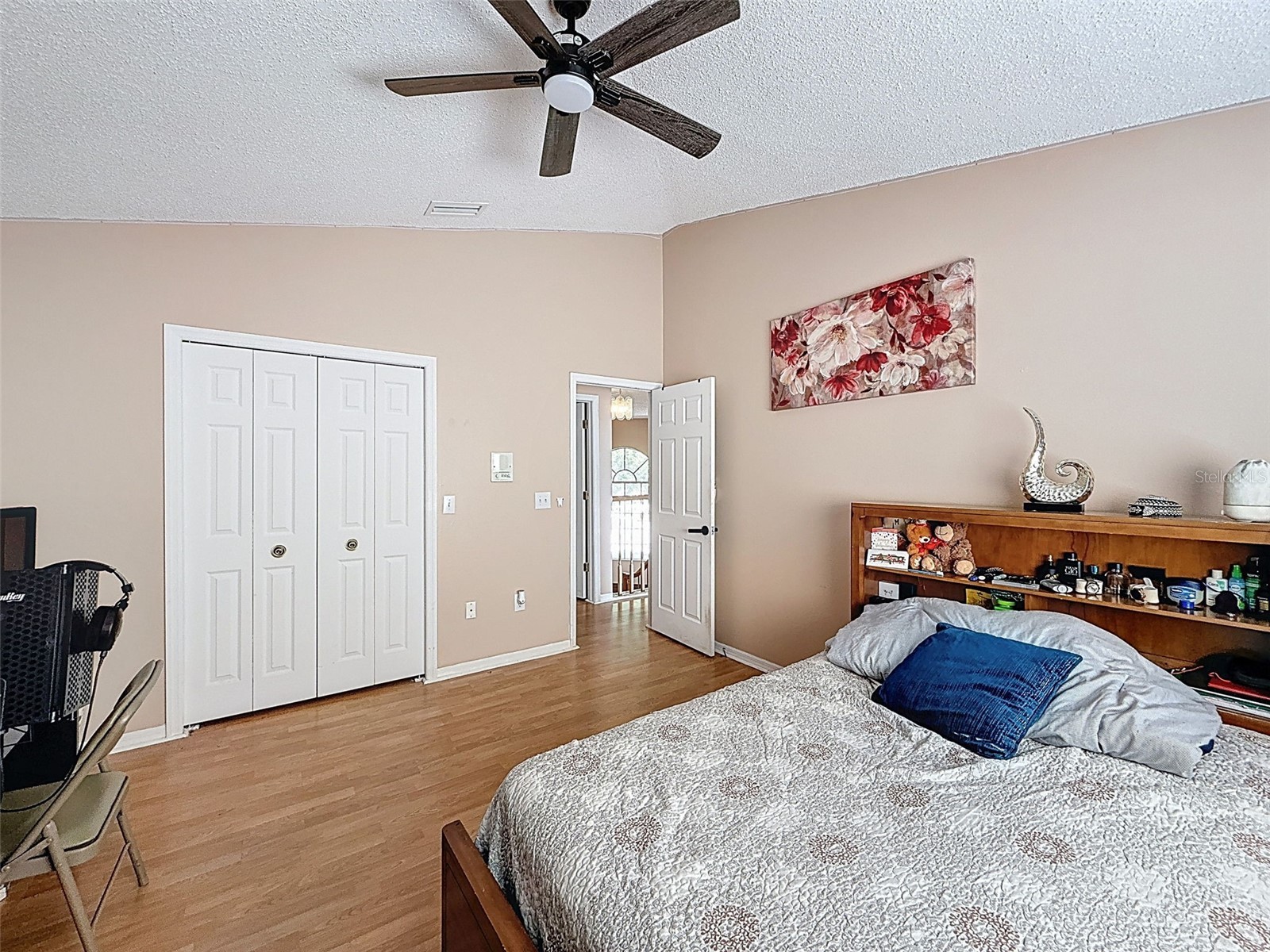 13002 Saint Filagree Drive Riverview FL 33579 W7884939 image71