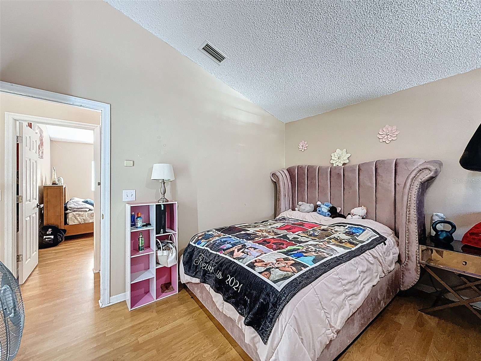 13002 Saint Filagree Drive Riverview FL 33579 W7884939 image72