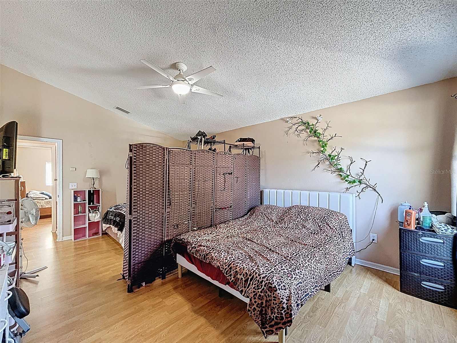 13002 Saint Filagree Drive Riverview FL 33579 W7884939 image77