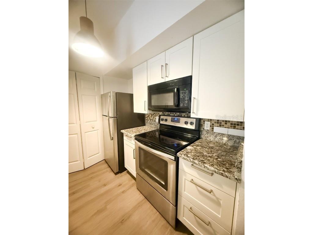 13003 Plantation Park Circle #13110 Orlando FL 32821 O6345771 image4