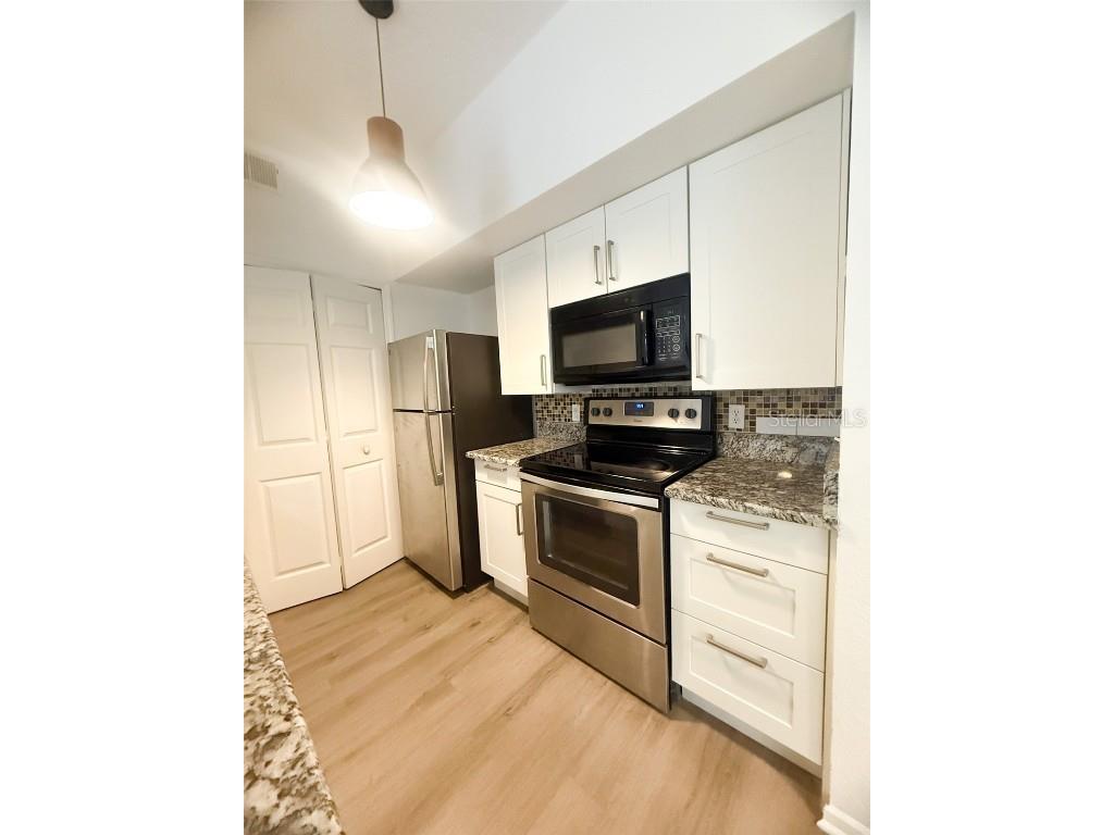 13003 Plantation Park Circle #13110 Orlando FL 32821 O6345771 image5