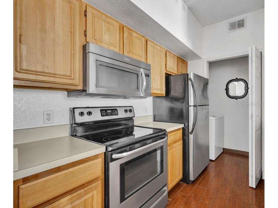 13003 Plantation Park Circle #1319 Orlando FL 32821 S5142751 image3