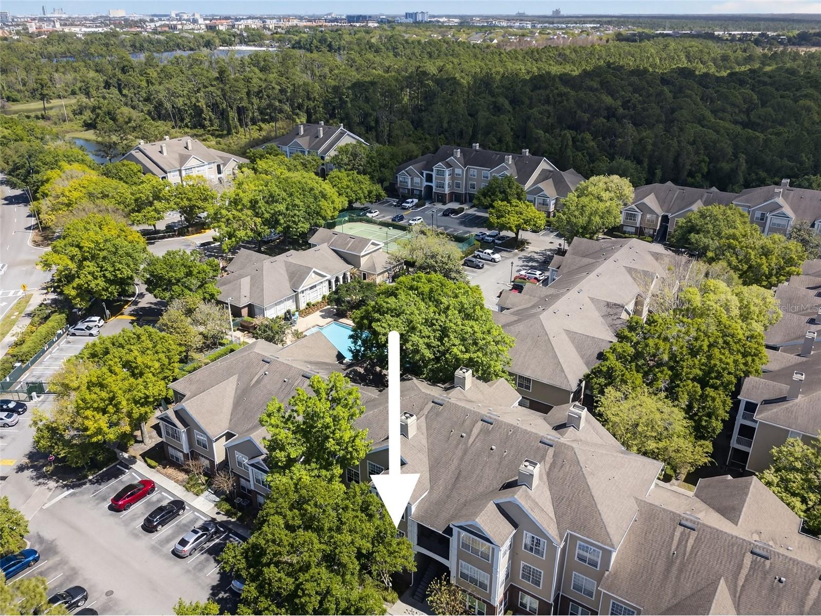 13003 Plantation Park Circle #1323 Orlando FL 32821 O6392554 image21