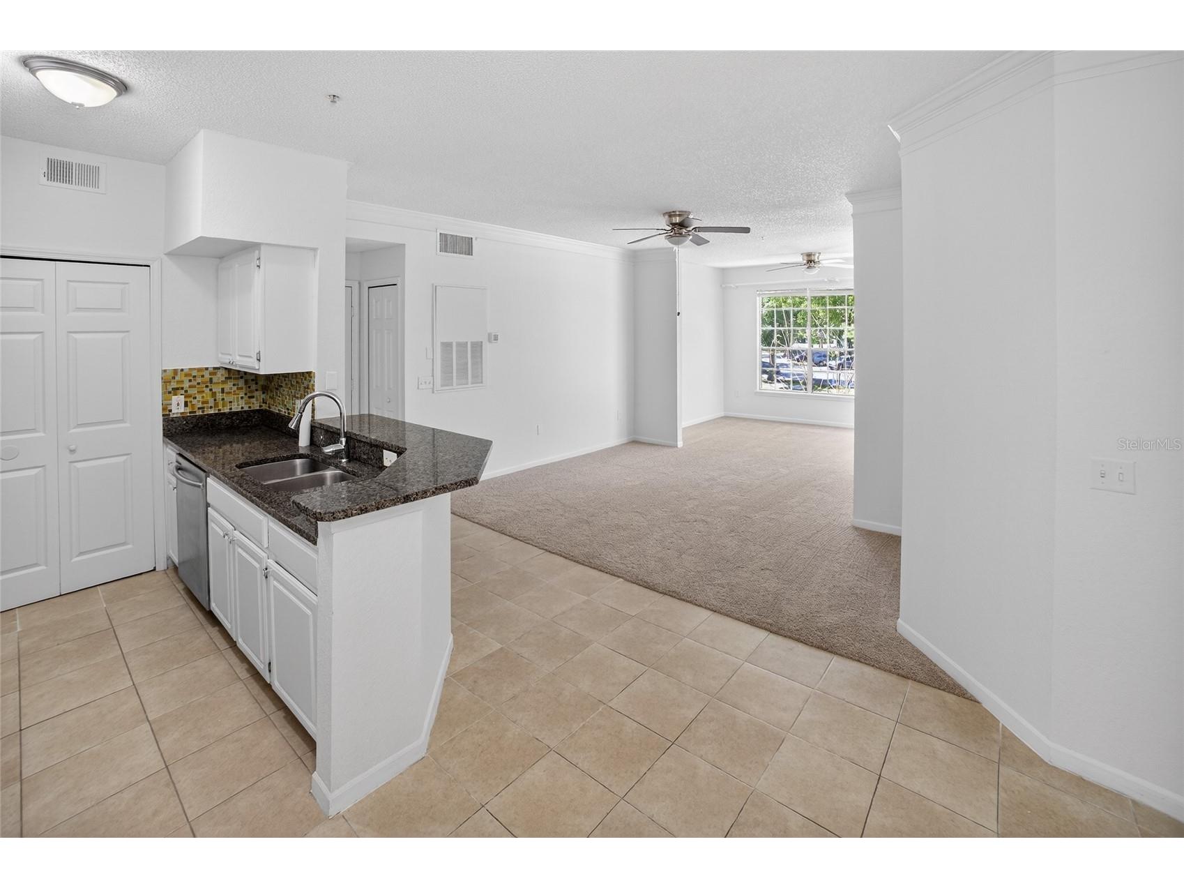 13003 Plantation Park Circle #1323 Orlando FL 32821 O6392554 image7