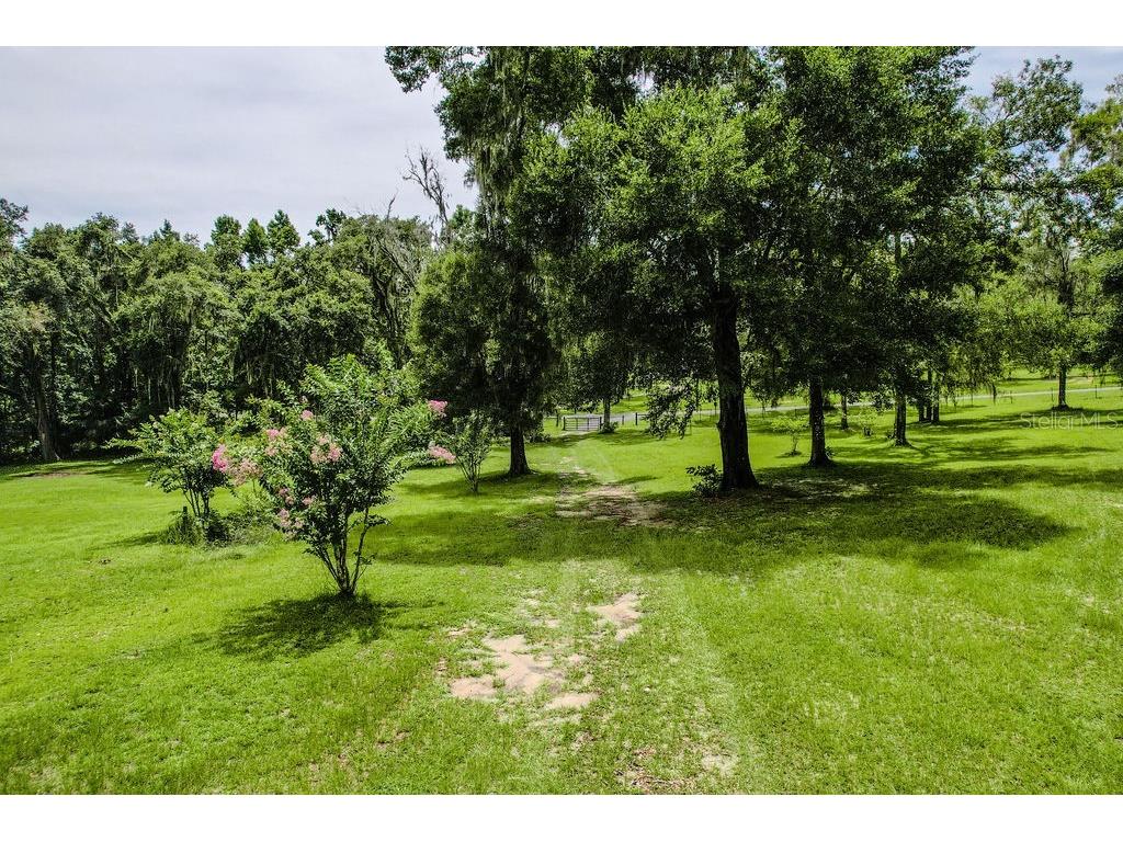 13003 S Betty Point Floral City FL 34436 O6394763 image3