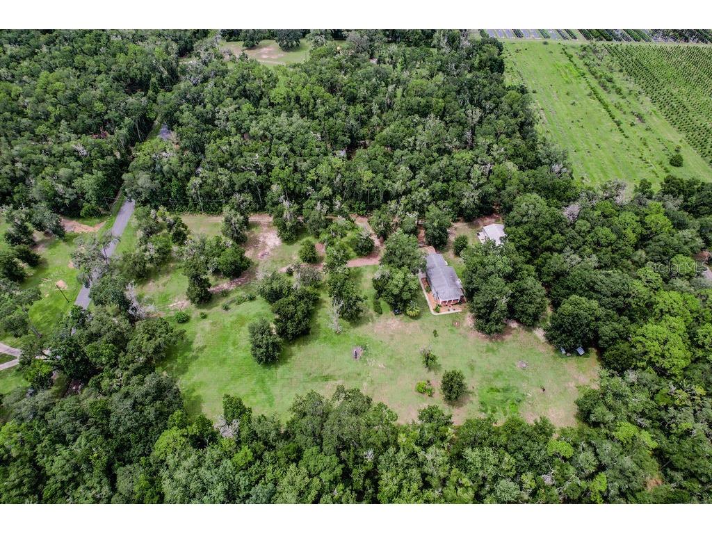 13003 S Betty Point Floral City FL 34436 O6394763 image7
